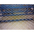 Hot Sale Chain Link Fence for Decoration